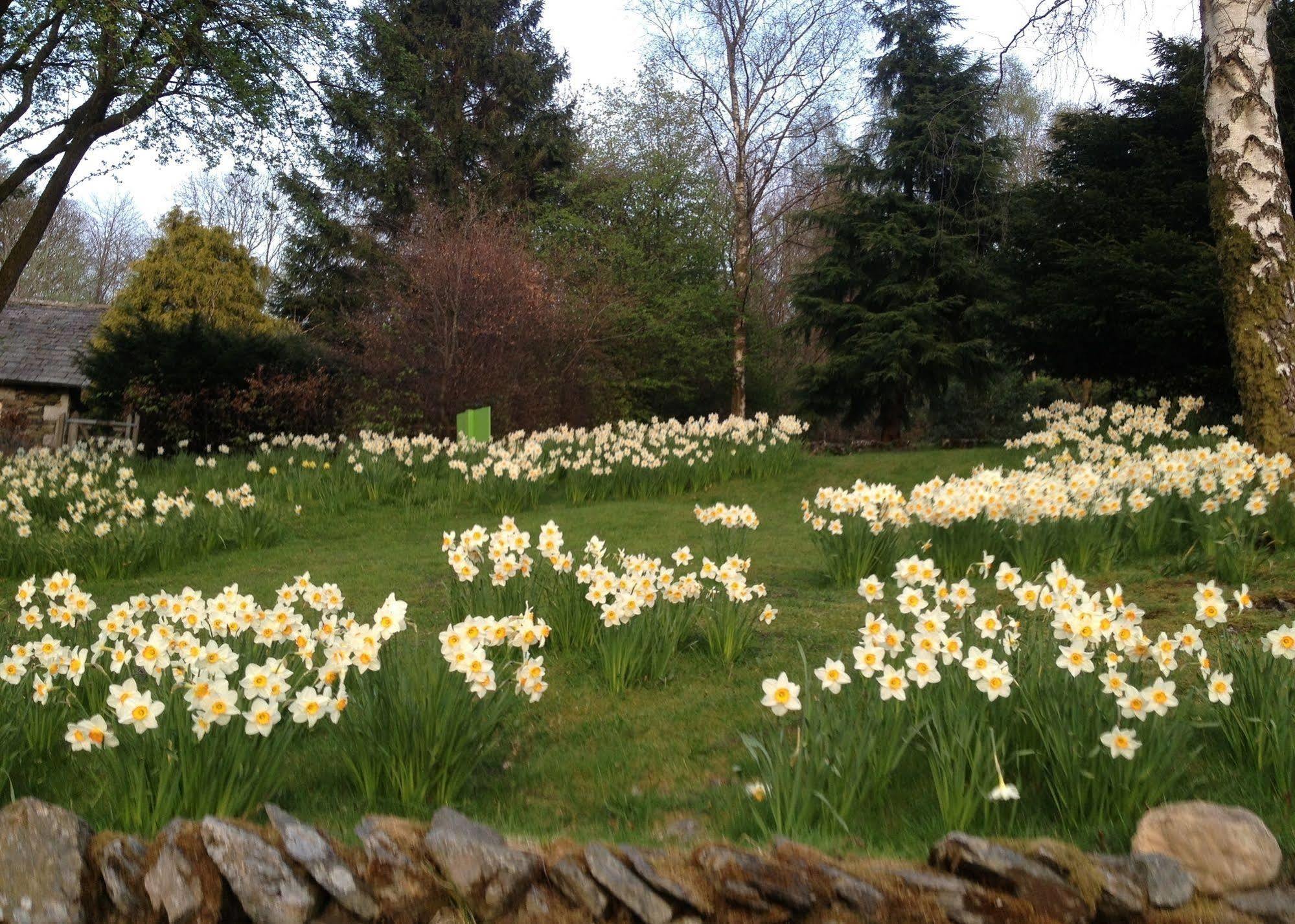 May Cottage B&B Bowness-on-Windermere Esterno foto